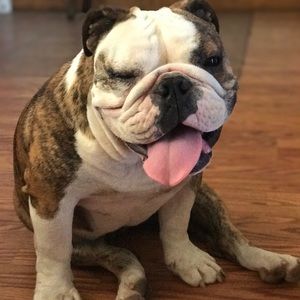 Meet your Posher, Erica